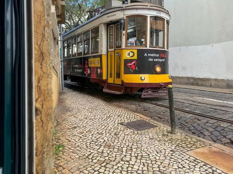 Alfama Home-1